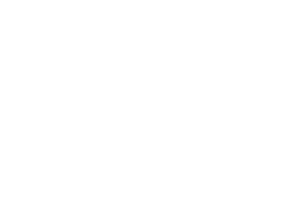 LEKS logga