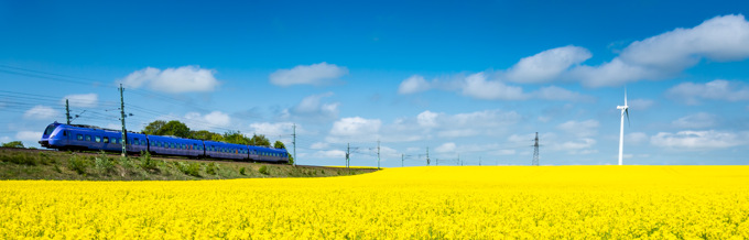 Blått tåg som passerar förbi ett gult rapsfält, med kraftledning och vindkraftverk i bakgrunden.